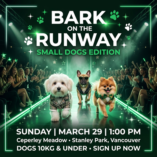 Bark on the Runway - Small Dogs Edition
